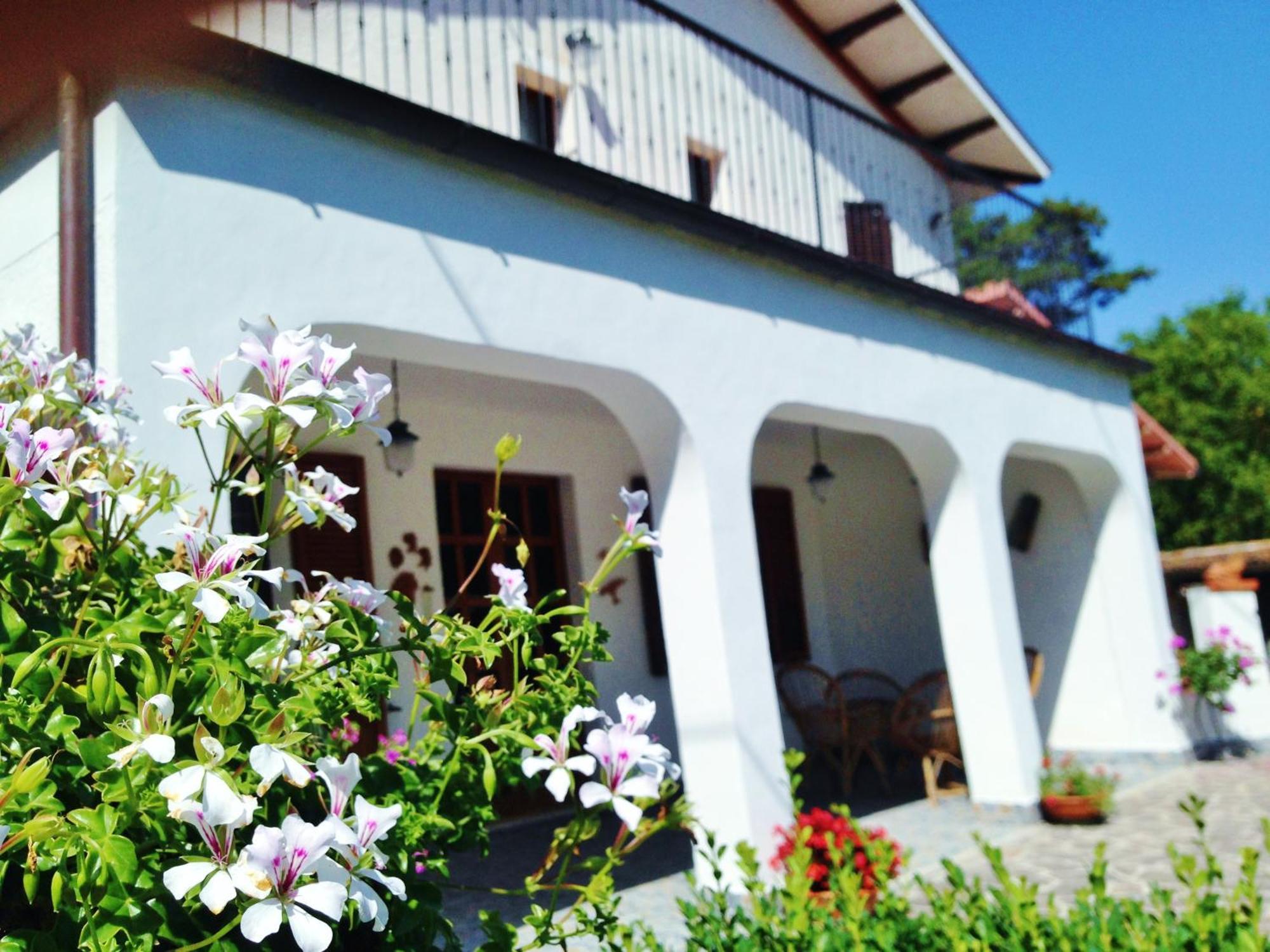 B&B Villa Incrocca Cerreto d'Esi ภายนอก รูปภาพ